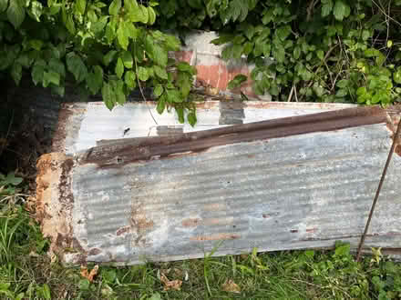 Photo of free Corrugated metal sheets (Lyme Regis DT7) #1