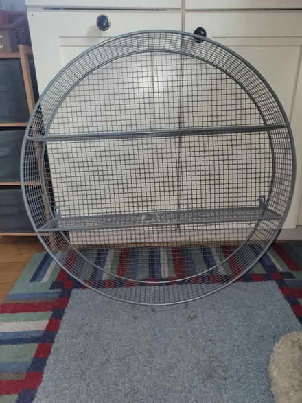 Photo of free Metal round wall shelves (Talleyville, DE 19803) #1