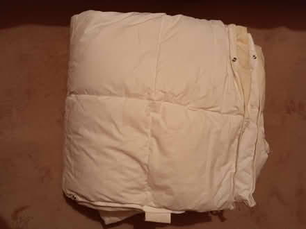 Photo of free Two well used duvets (Newtonhill AB39) #2