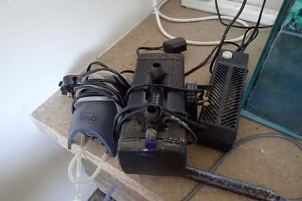 Photo of free fish tank (Fincham PE33) #2