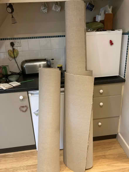 Photo of free Wool carpet offcuts (Freehold LA1) #2