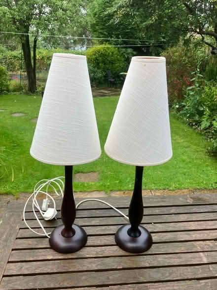 Photo of free 2 lamps (HP27 Lacey Green) #1