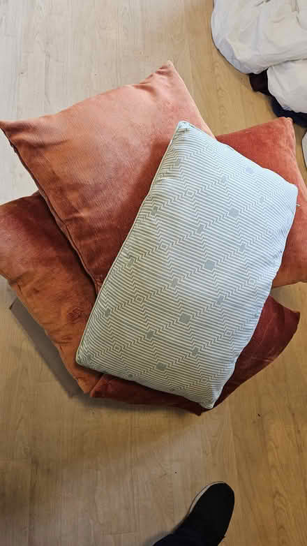 Photo of free Scatter Cushions x5 (Downe BR6) #1