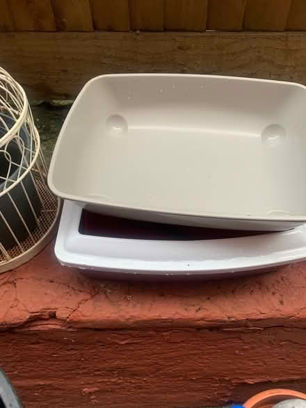 Photo of free Cat stuff (Charlton) #2