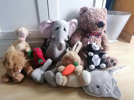 Photo of free Cuddly toys (Didcot, Ladygrove, OX11) #1