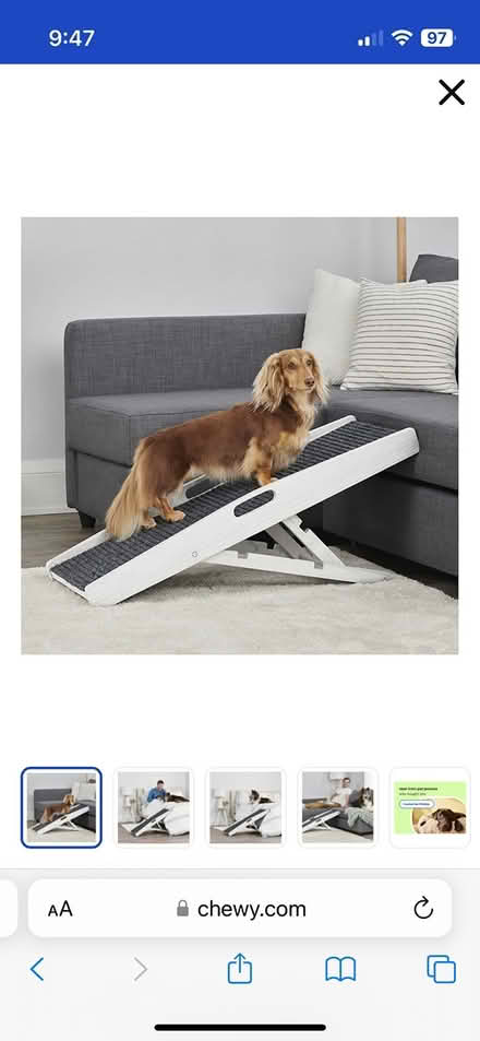 Photo of Small Dog Ramp (Fairlawn/Anacostia) #1