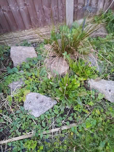 Photo of free Selection of rockery stones, and bricks (Whitestake PR4) #2