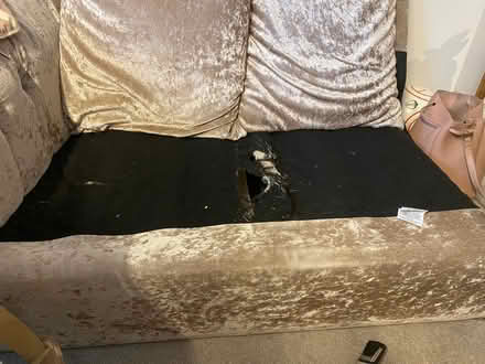 Photo of free Mink Crushed Velvet Sofa (crowborough TN6) #4