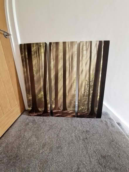 Photo of free 3 Separate Canvases (CT15) #1