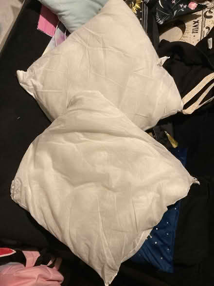 Photo of free 2 inner cushions (NR2) #1