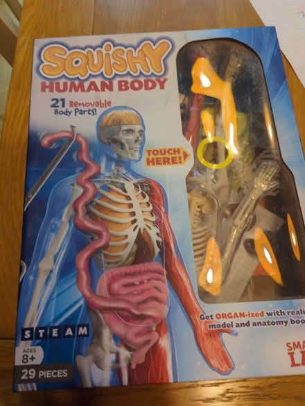 Photo of free Squishy human body toy (UB10 Ickenham) #1