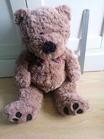 Photo of free Cuddly toys (Didcot, Ladygrove, OX11) #2