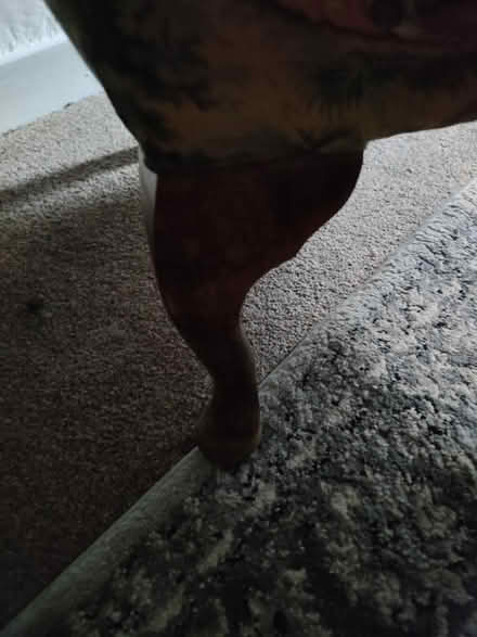 Photo of free Small chair (EH4) #4