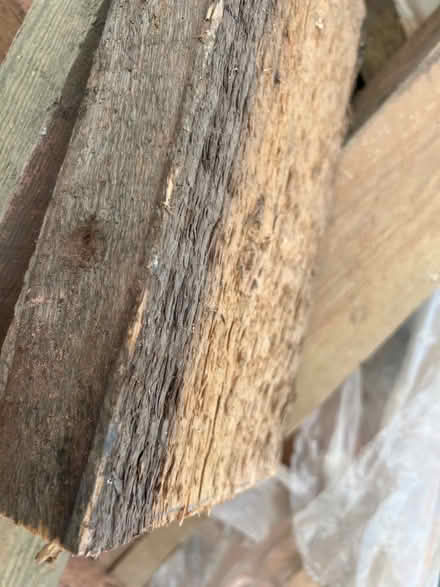 Photo of free Joist timbers (Isleworth TW7) #2