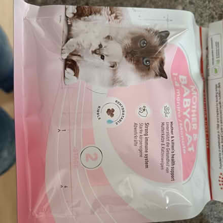 Photo of free Mother and baby cat food (Westminster Drive PO21) #1