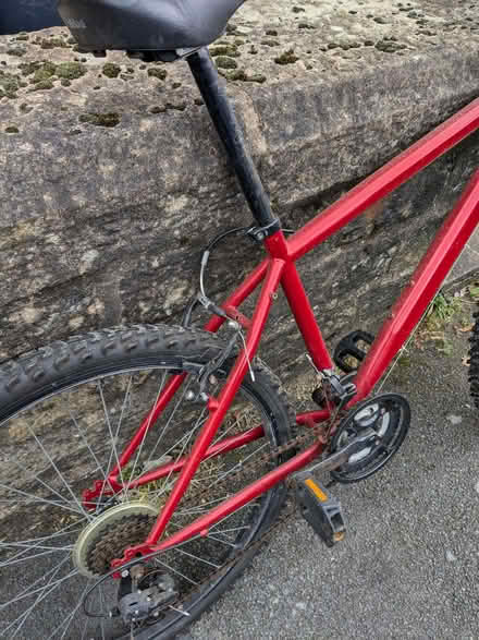 Photo of free Bicycle (Freehold LA1) #1