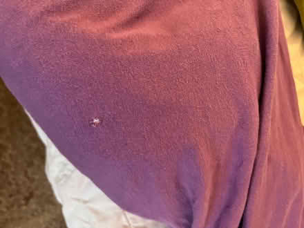 Photo of free Theraline maternity pillows (Swindon SN3) #3