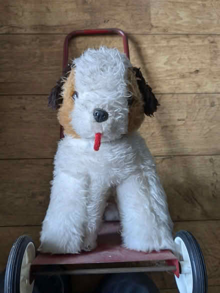 Photo of free Vintage push along dog (Hove Green BN3) #1