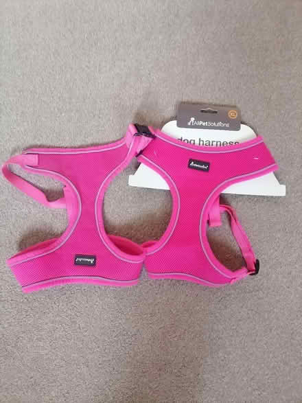 Photo of free Harness (Oakley RG23) #1