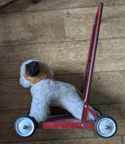 Photo of free Vintage push along dog (Hove Green BN3) #3
