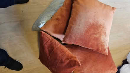 Photo of free Scatter Cushions x5 (Downe BR6) #3