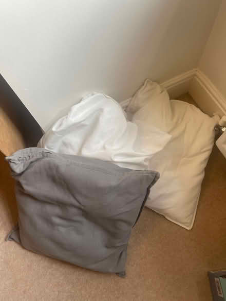 Photo of free Cushions (Willesden Green) #1
