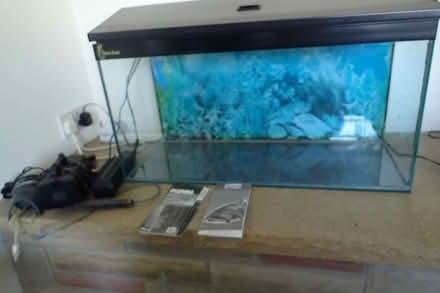 Photo of free fish tank (Fincham PE33) #1