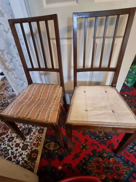 Photo of free 2 x dining chairs (Latchford WA4) #1