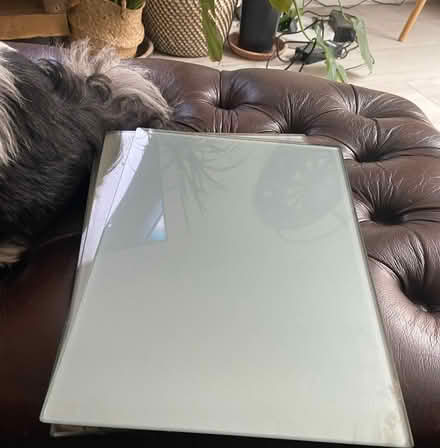 Photo of free Bowls plates & table mats (Edinburgh) #3