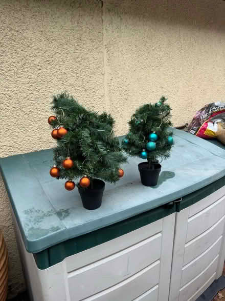 Photo of free Battery powered Christmas trees (Woodley, RG5) #1