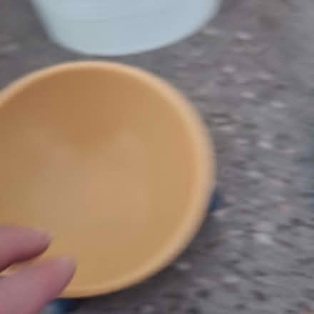 Photo of free Tilted pet bowl (Westminster Drive PO21) #1