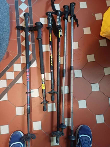 Photo of free Walking sticks (Netherfield NG4) #1