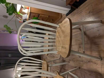 Photo of free Four Dining Room Chairs (Abbey Wood SE2) #2
