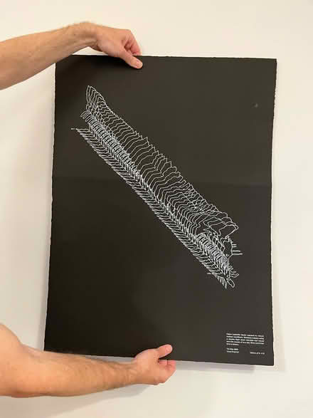 Photo of free Limited edition screen prints (Jericho OX2) #1