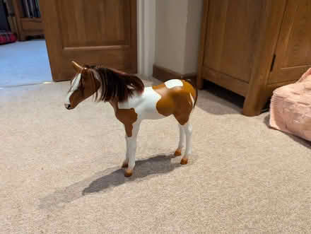Photo of free Plastic Horse (HR9) #1
