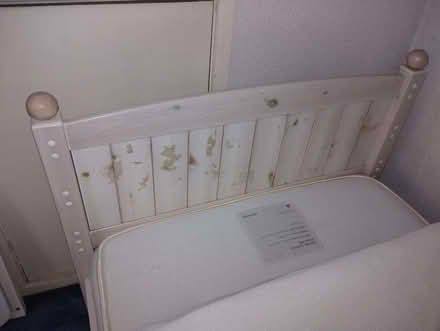Photo of free Single bed frame (East Finchley N2) #2
