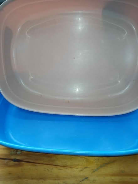 Photo of free Cat litter trays (Milnthorpe) #1