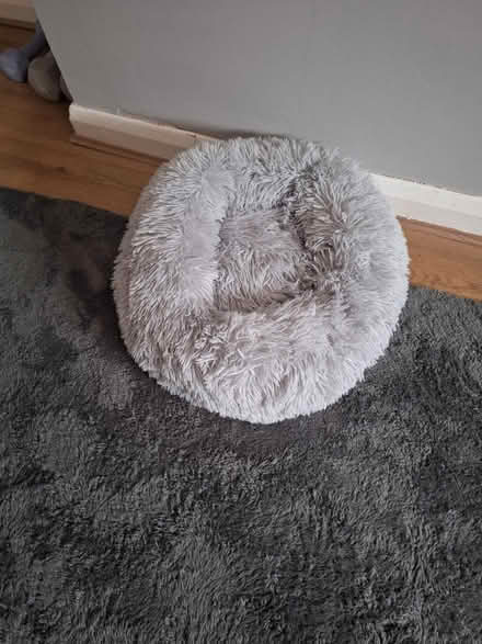Photo of free Cat bed (Walthamstow) #1