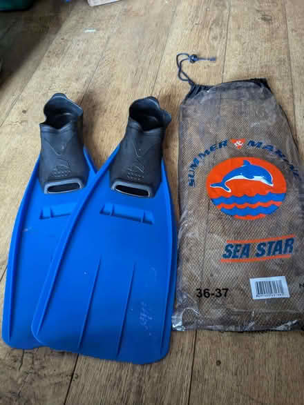 Photo of free Flippers (Hove Green BN3) #2