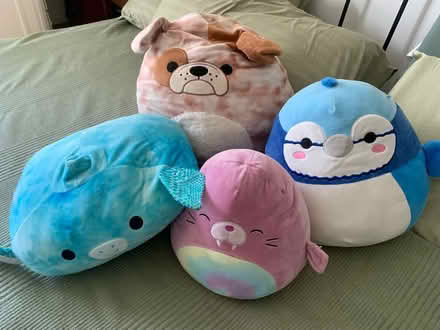 Photo of free Squishmallows Stuffed Animal Toy (North Berkeley) #1
