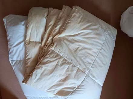 Photo of free Two well used duvets (Newtonhill AB39) #1