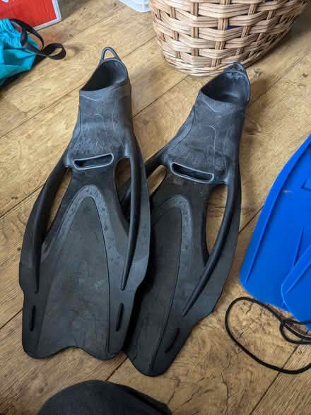 Photo of free Flippers (Hove Green BN3) #1