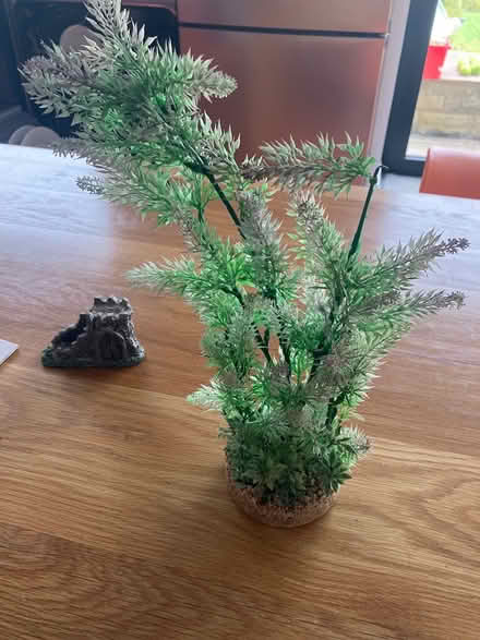 Photo of free Plastic aquarium plant (Bingley BD16) #1