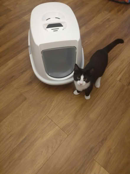 Photo of free Cat litter box (Ely, CF5) #1