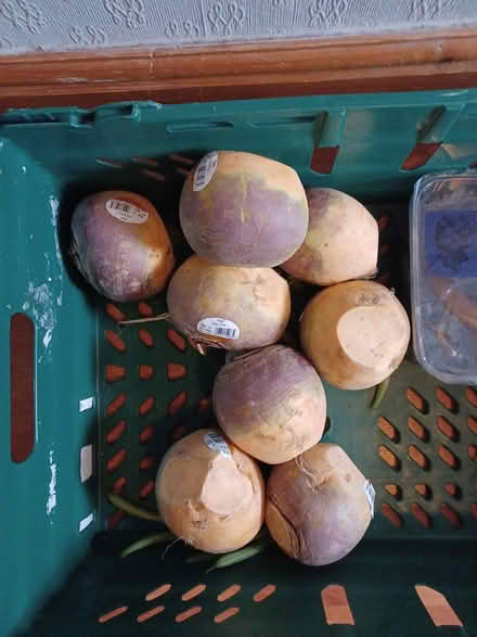 Photo of free Swedes (B63 halesowen) #1
