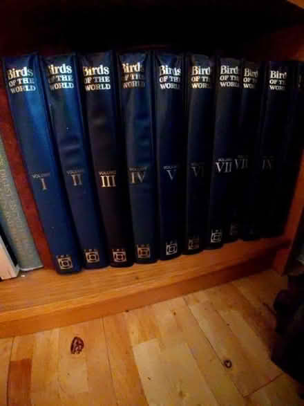 Photo of free Bird encyclopedia (Bear Flat) #1