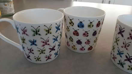 Photo of free butterflies & beetles mugs (peacehaven) #1