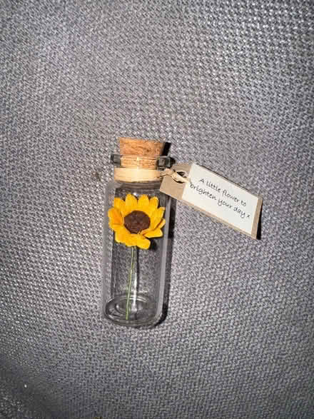 Photo of free Flower in a vial gift (Wallington) #1