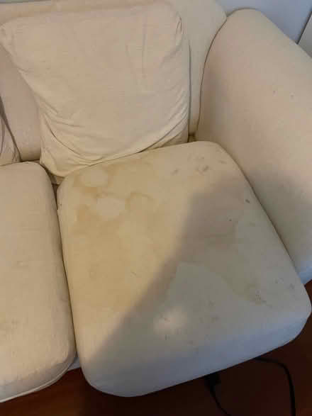 Photo of free couch (Steele creek) #4