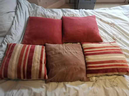 Photo of free 5 cushions (Westbury-on-Trym, BS10) #1